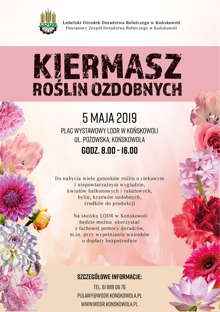 Kiermasz