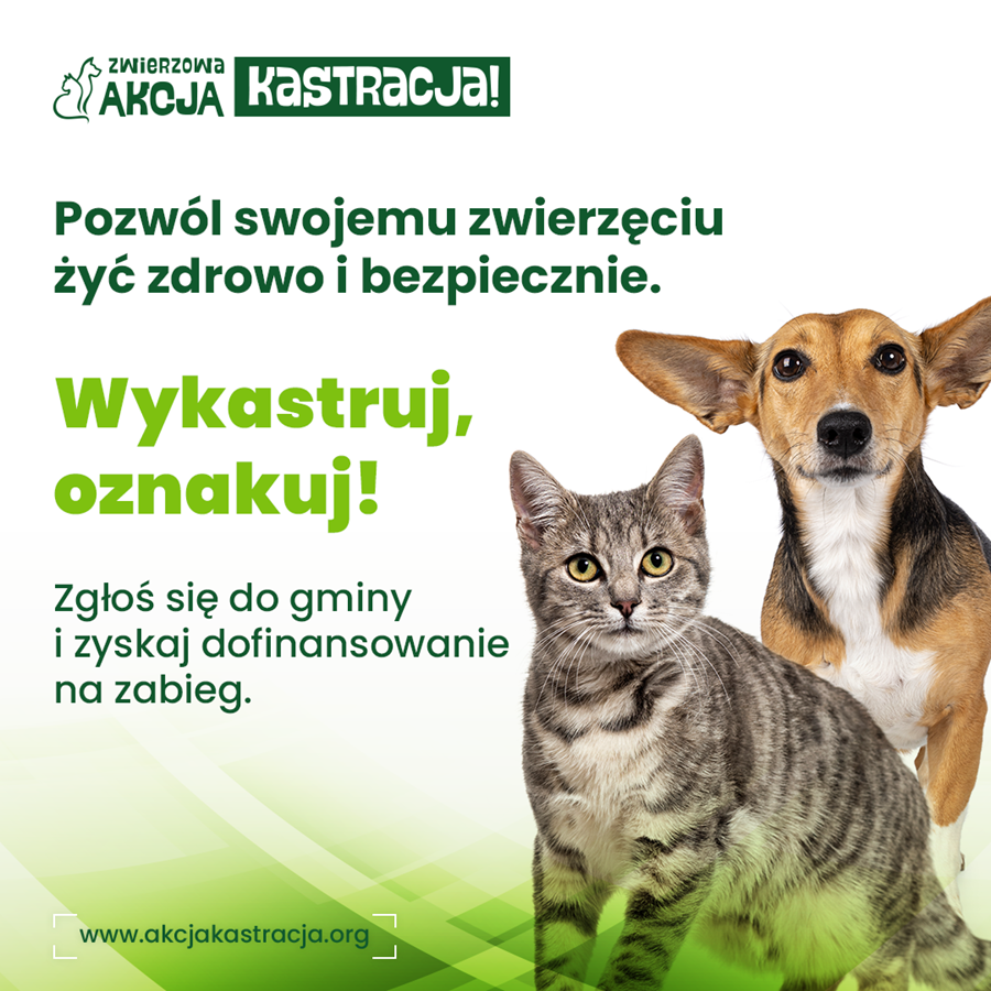 Plakat - Zwierzowa Akcja