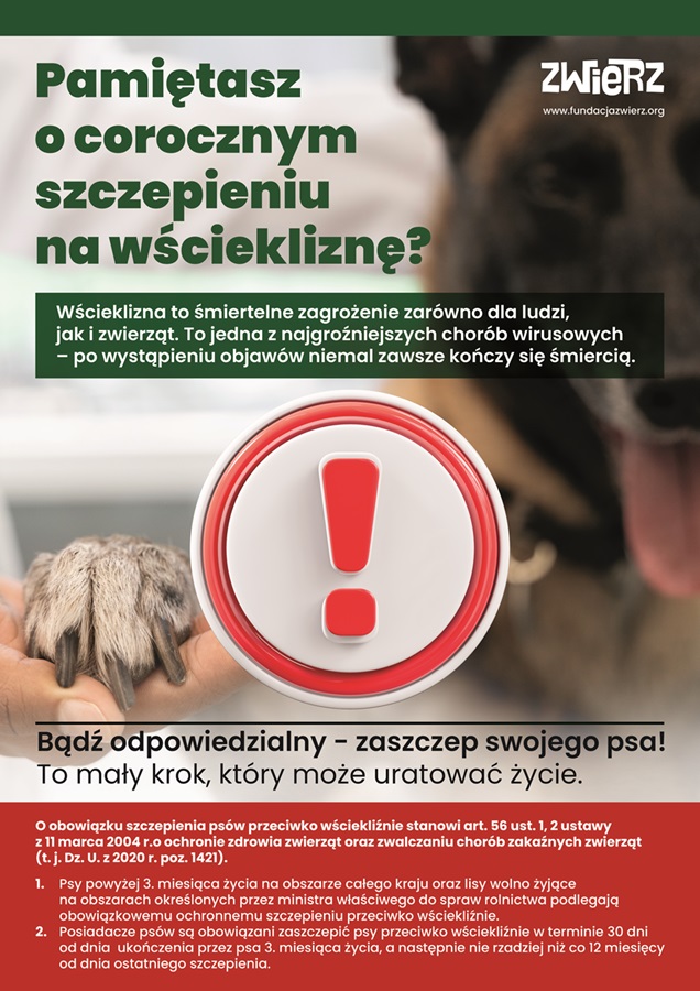 Plakat - szczepienia psów